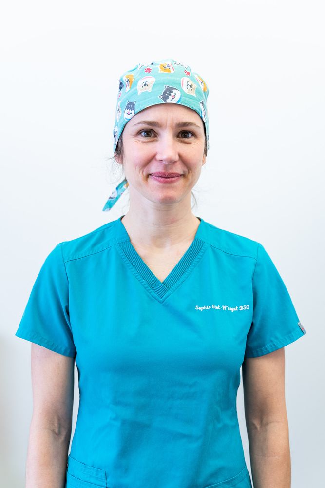 Sophie Giot-Wirgot, orthodontist