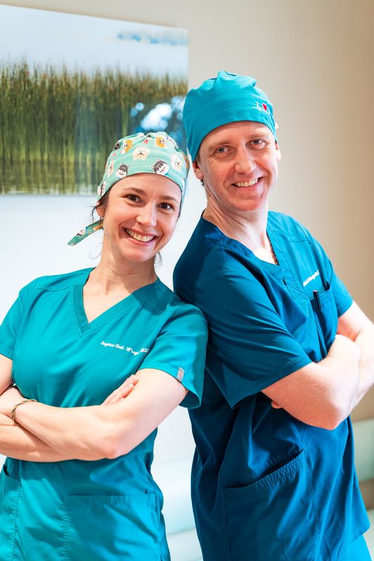 The team at work 4 — Somi Smile practice, Uccle, Brussels