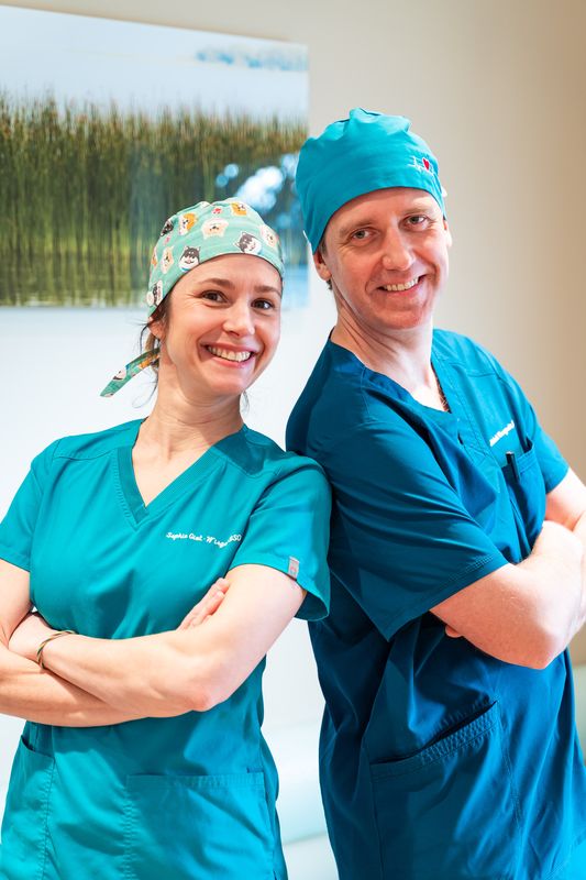 The team at work 5 — Somi Smile practice, Uccle, Brussels