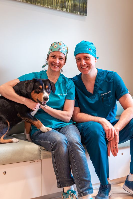 The team at work 7 — Somi Smile practice, Uccle, Brussels